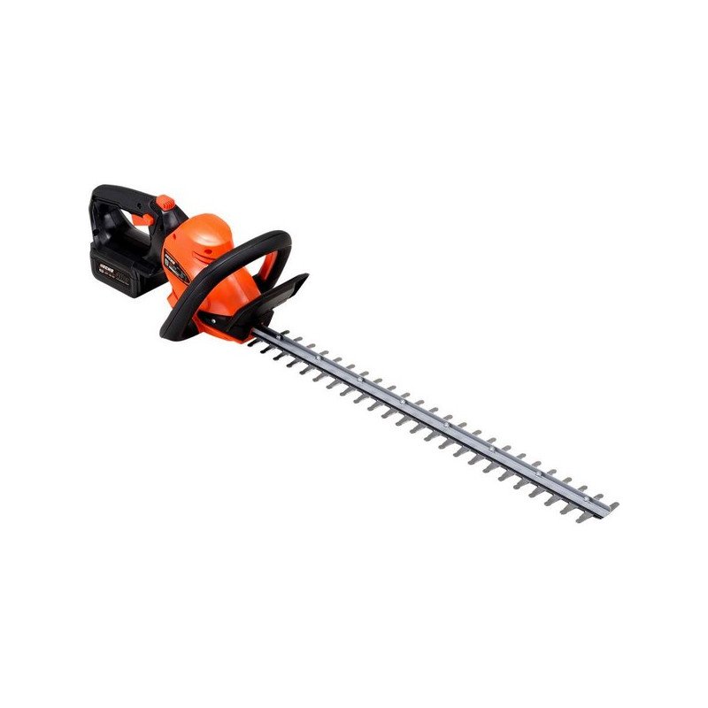 Pack taille haies sur batterie Echo DHC310 60cm de coupe 55min