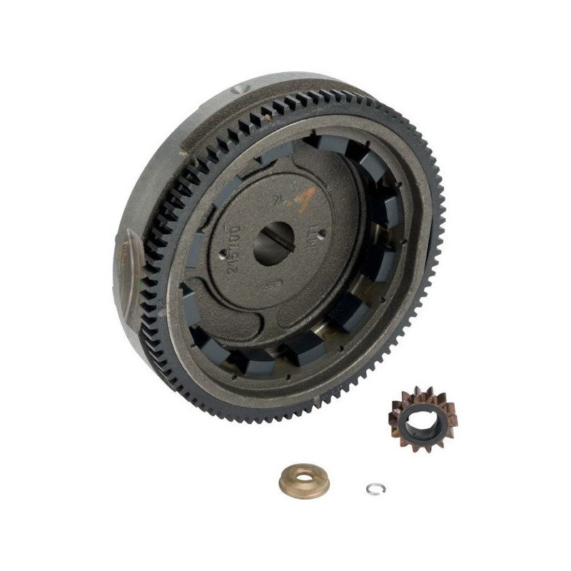Volant magnétique autoportée Briggs et Stratton - 591759